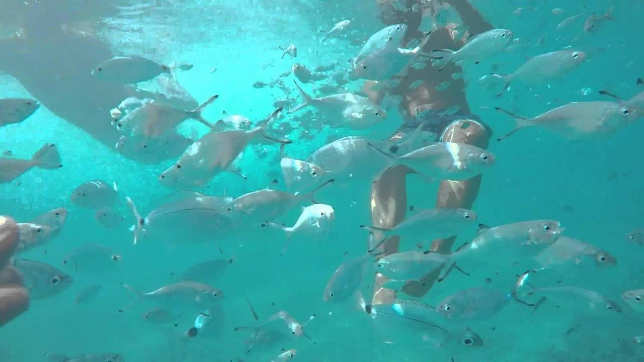 Hotel El Trebol Carboneras Dış mekan fotoğraf